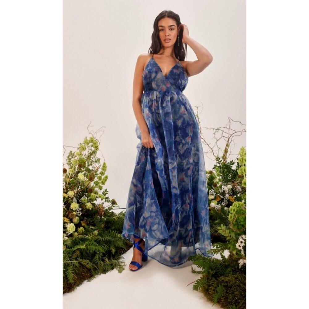 Lulus XL blue Bloom Wildly Floral Organza Maxi Dress